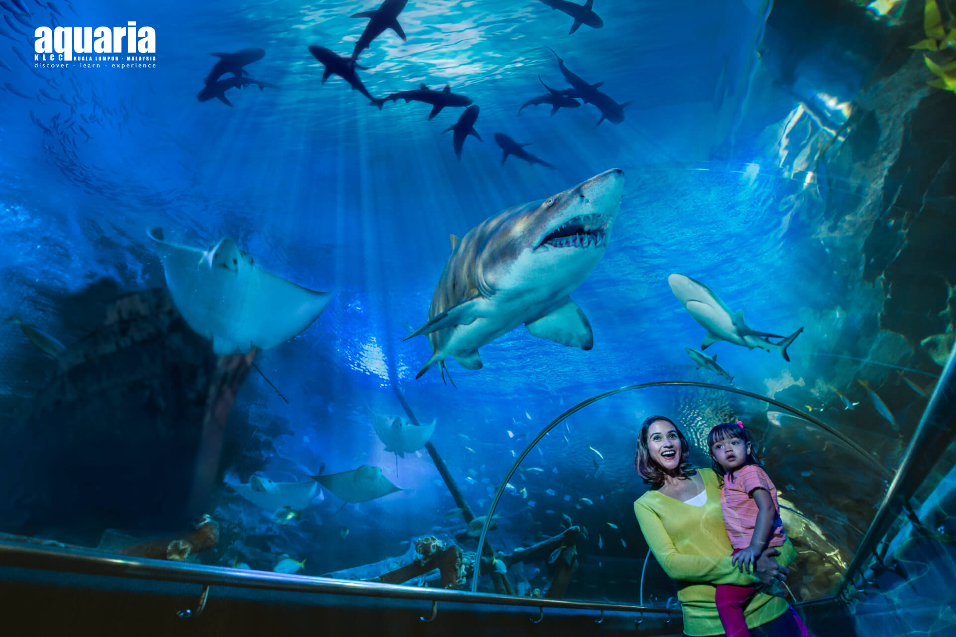 Aquaria KLCC